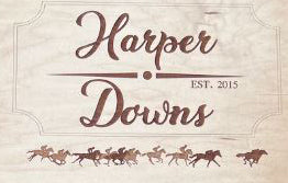 Race Horse Board Game